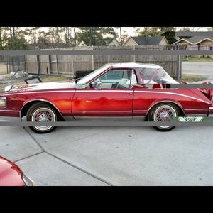 Meet your Posher, Terence